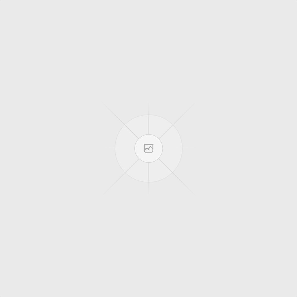 RESTful APIs icon
